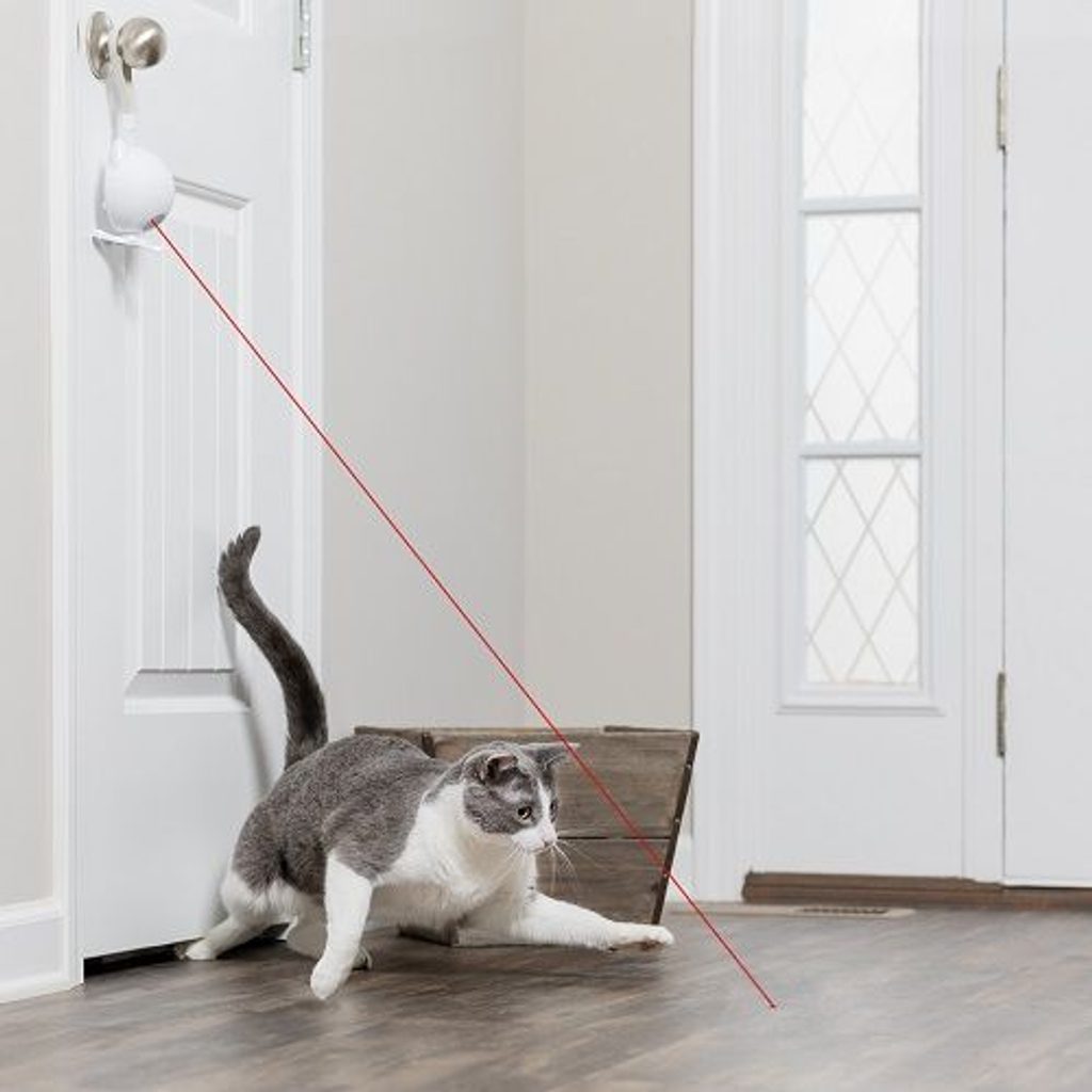 Juguete para gatos, PetSafe Zoom Laser Toy - Láser -  collares-electronicos.es