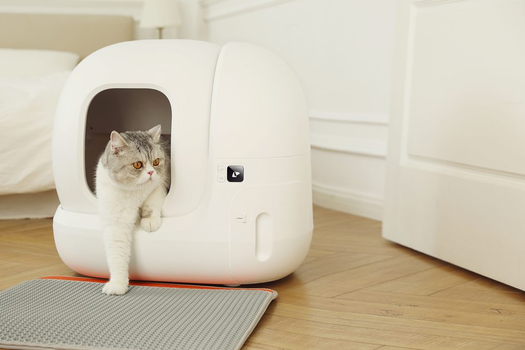 PETKIT PURA MAX｜The Self-cleaning Cat Litter Box Provides You A Hands-free  Cleaning Experience 