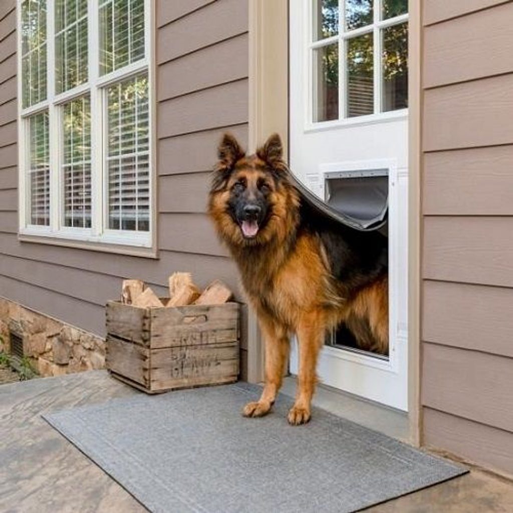 PetSafe Pet Door: Perfectly Sized for Dogs & Cats of All Sizes