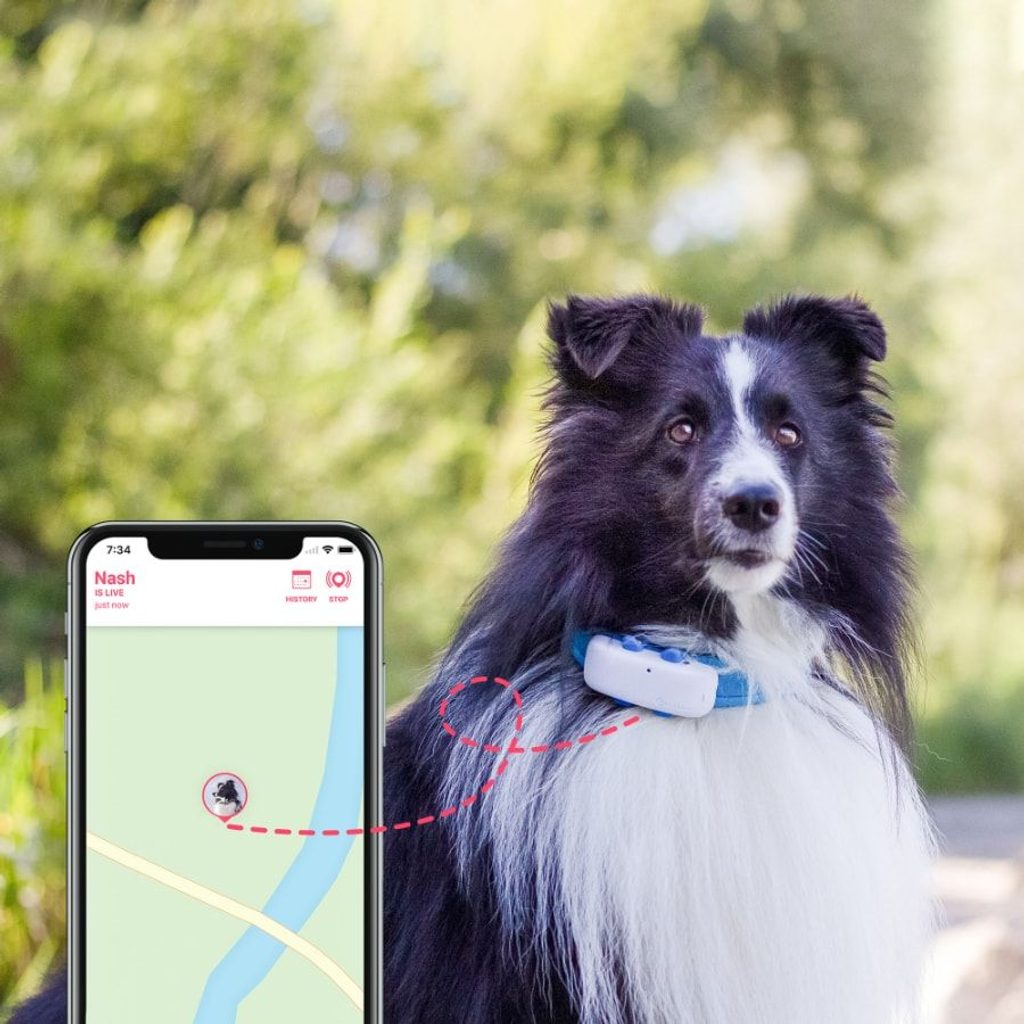 Tractive Rastreador GPS para mascotas con collar de perro con luz LED,  impermeable, ubicación GPS y rastreador de actividad inteligente, alcance
