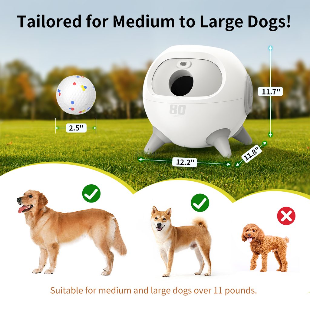 UahPet iRetriever ball launcher Fetch Electric Collars