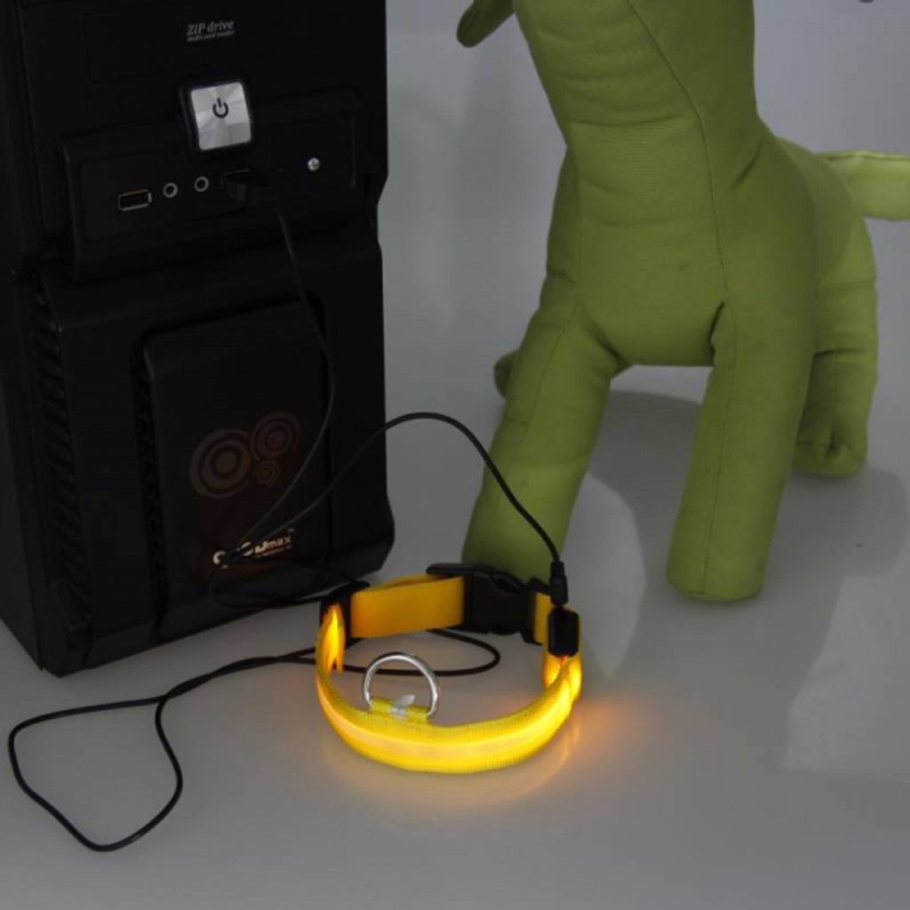 Reedog USB shining collar for dogs and cats NEW - Glowing collars -  Electric-Collars.com