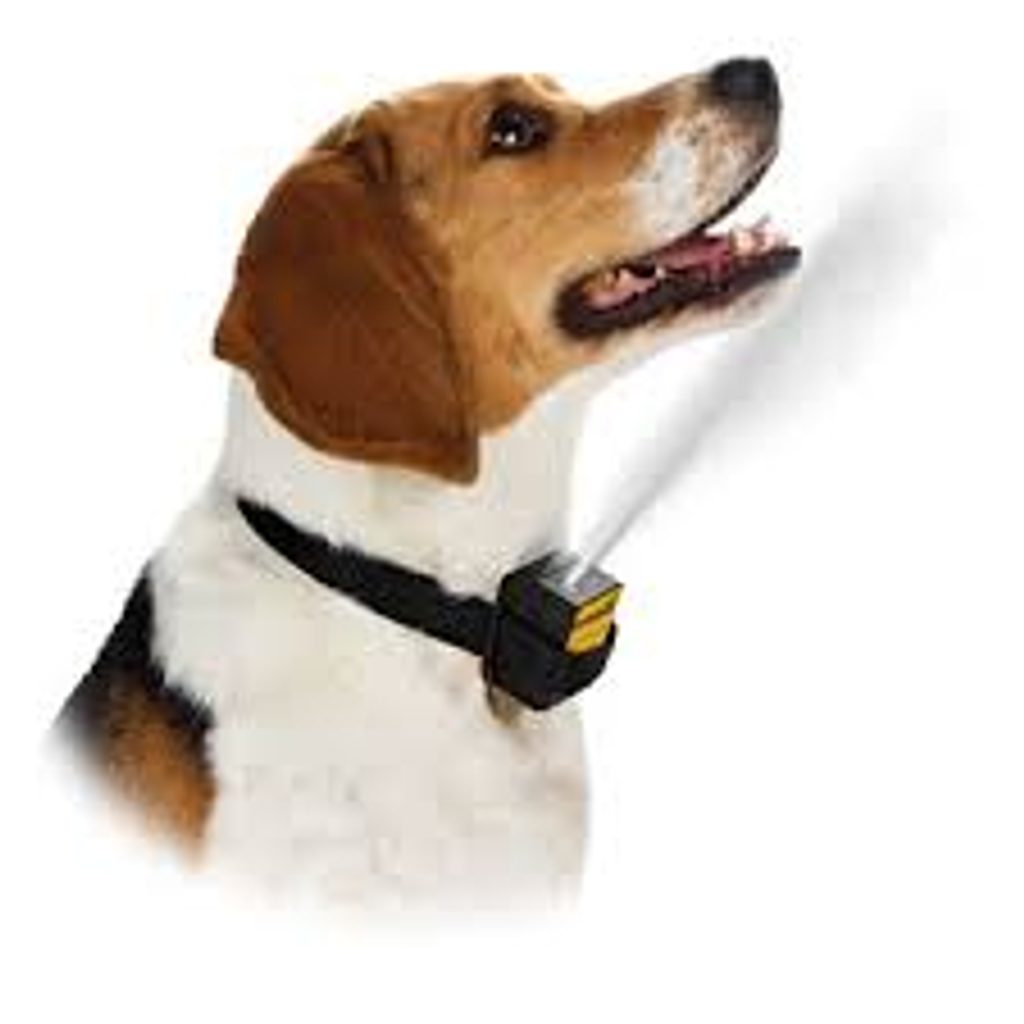BAZAR - PetSafe Spray für große Hunde - Trainigshalsbander -  Elektro-Halsbander.de
