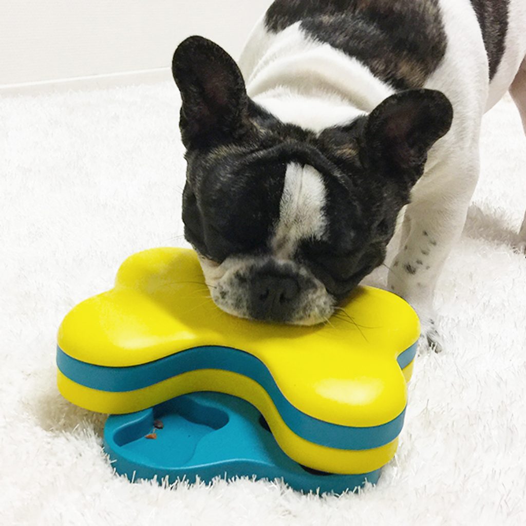 Dog Tornado Interactive Treat Puzzle Dog Toy - Pet Clever