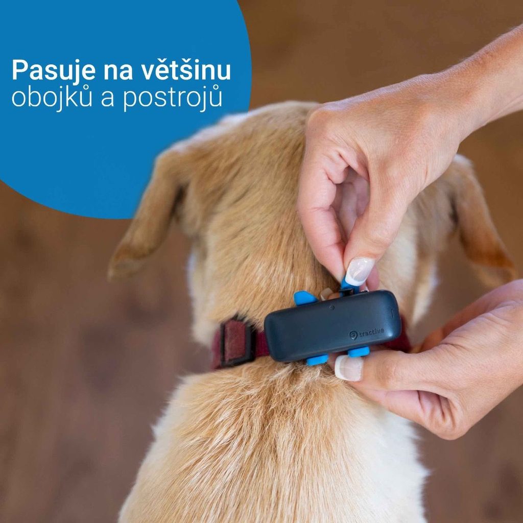 Tractive GPS DOG 4 – GPS for Dogs - GPS collars for dogs