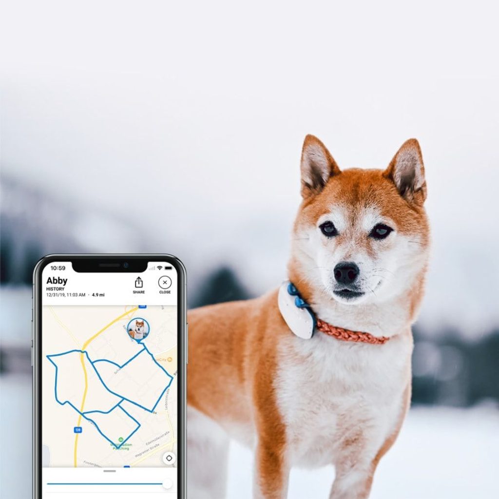 Rastreador GPS para perros, collar inteligente de seguimiento de mascotas  resistente al agua (solo iOS), sin tarifa mensual, collar reflectante con