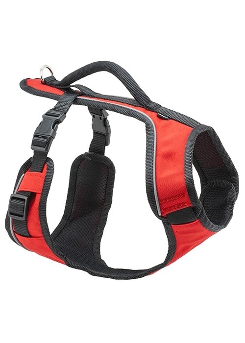 Harness for dog EasySport™ - Dog Harnesses - Electric-Collars.com
