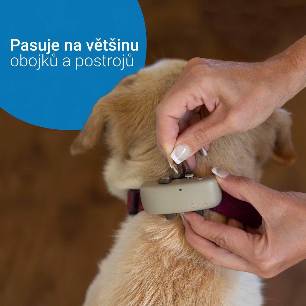 Localizador GPS para perros con Seguimiento de Actividad