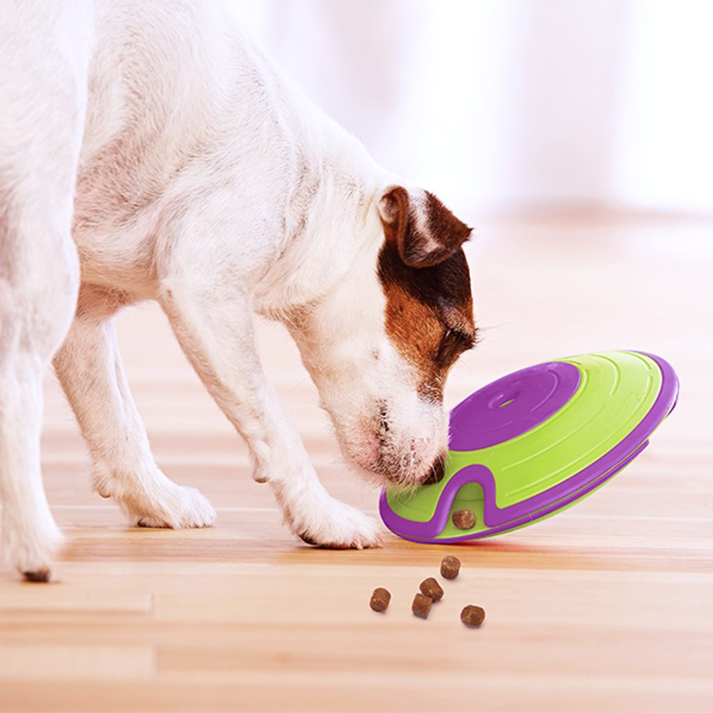 Best Puzzle Toys for Dogs, Banish Boredom