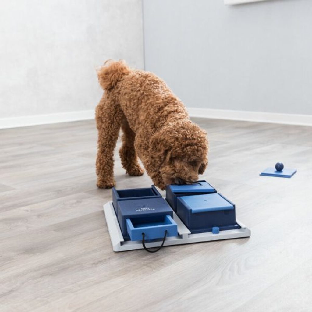 Dog Activity Puzzle POCKER BOX 1 - Puzzles - Electric-Collars.com