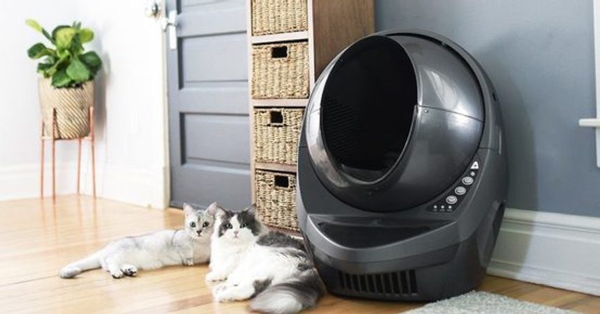 Litter Robot III - мигает синим светом