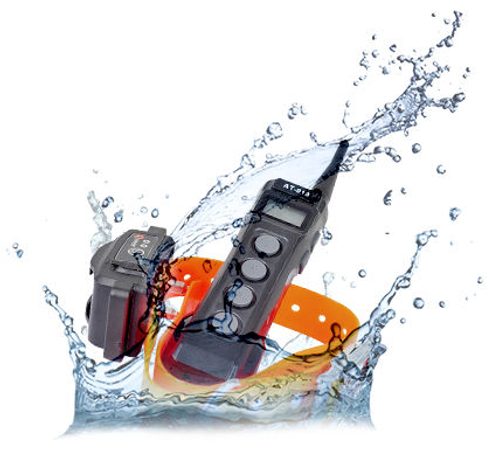 Elektronische Trainingshalsbänder: Können sie ins Wasser tauchen? Finden Sie es heraus!
