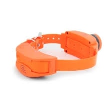 Sportdog sd outlet basket