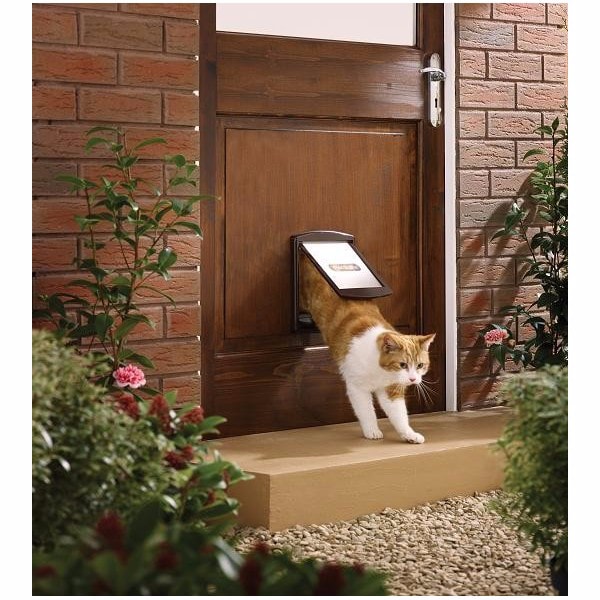 Petsafe 2 way sales cat door