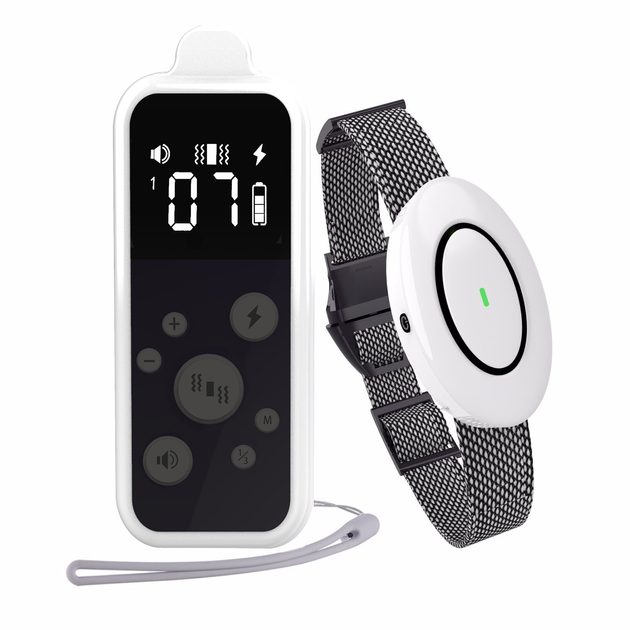 Patpet T250 Training collars