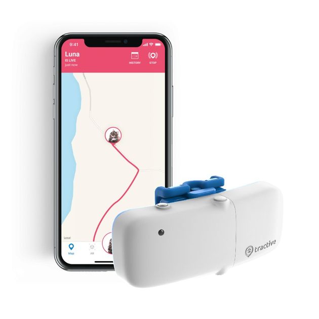 Tractive GPS Tracker macskáknak - nyomkövető - Tractive -  Elektro-nyakörvek.hu