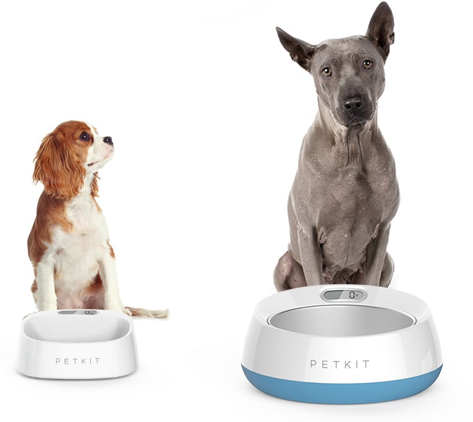 Petkit Fresh smart bowl for dogs and cats 0,45l - Bowls for dogs -  Electric-Collars.com