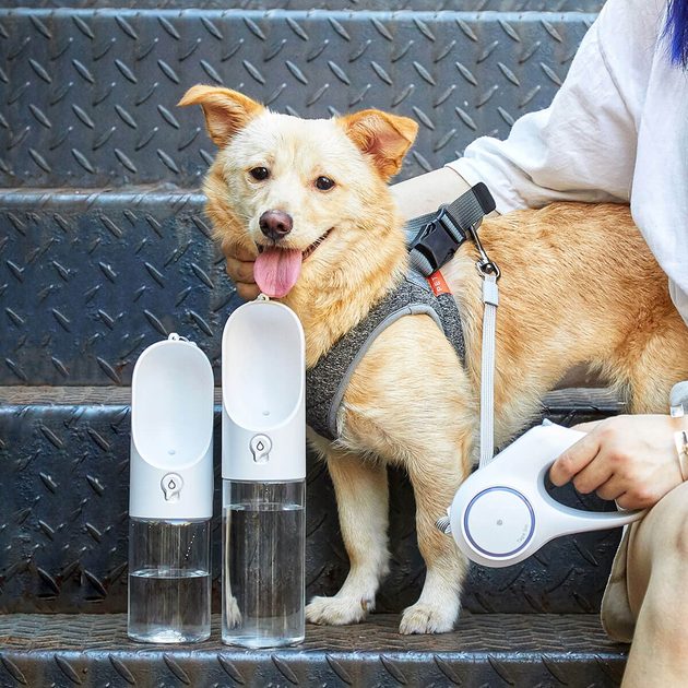 Petkit One Touch Reiseflasche für Hunde 300ml Cestovní láhve