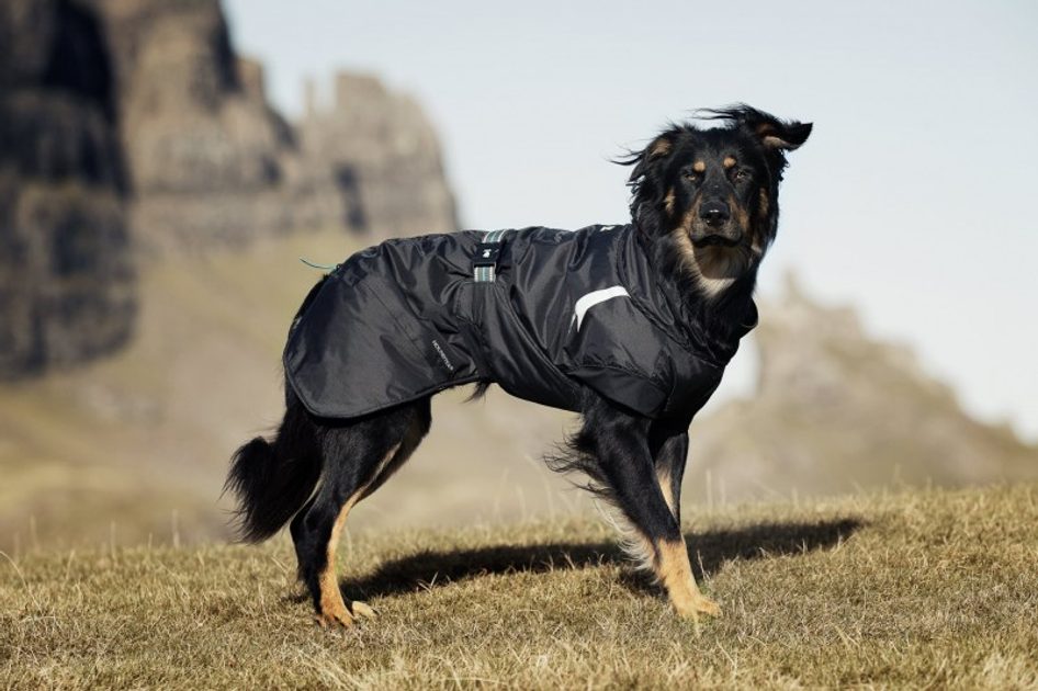 Hurtta pet collection best sale summit parka for dogs