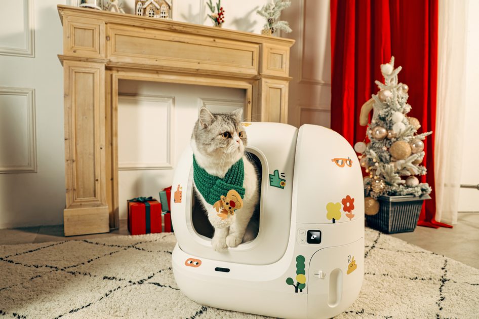 Footloose cat clearance toilet