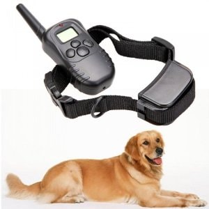 Petrainer PET998DR Training collars