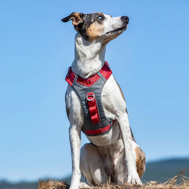 Dogline Westen-Geschirr Für Hunde – Mit 2 'Adopt Me'-Patches, Verstellbar, Reflektierend, Für Servicehunde