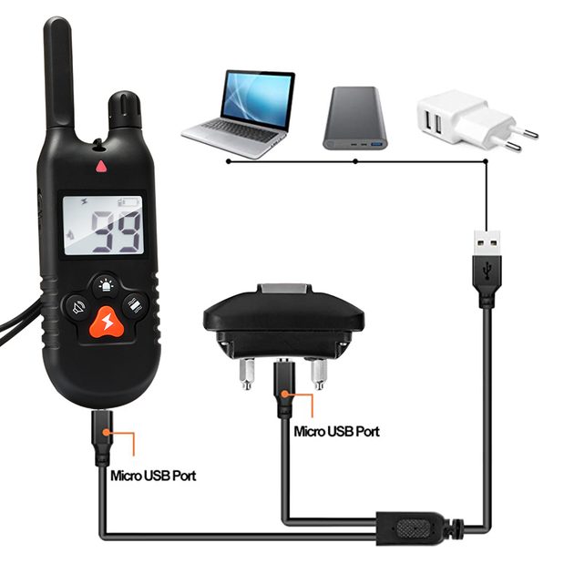 Reedog P30 Training collars