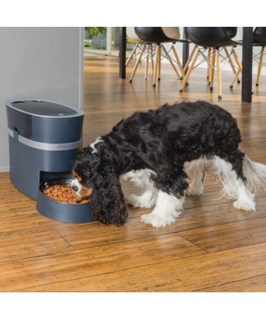 Petsafe dispenser cheap