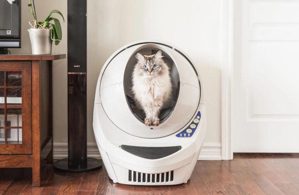 2024 Litter robot flashing cycling light flashing the 