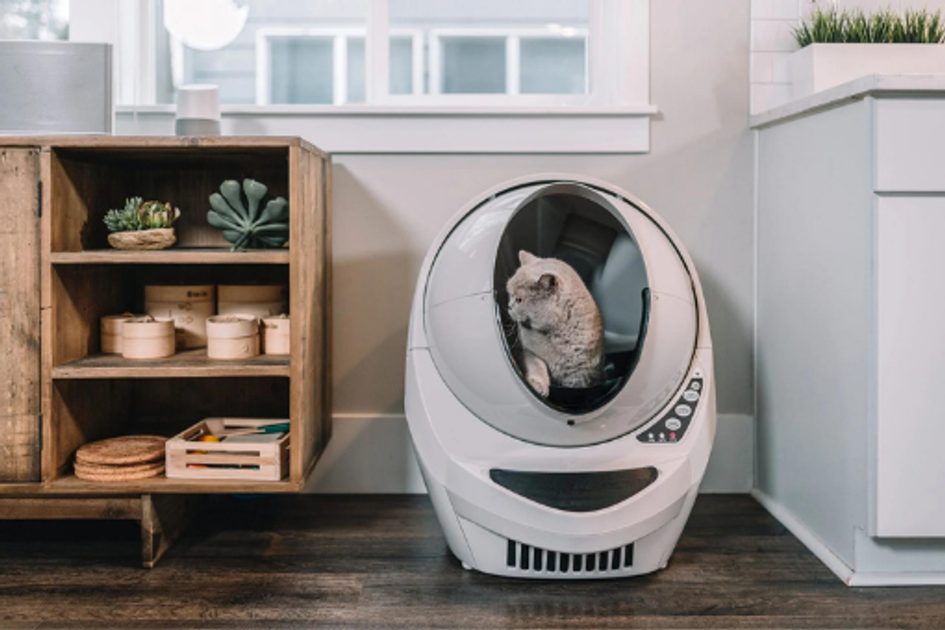 Samočistiaca toaleta pre mačky: najlepšie riešenie mačacej hygieny vo vašej  domácnosti! - Elektricke-Obojky.sk ®