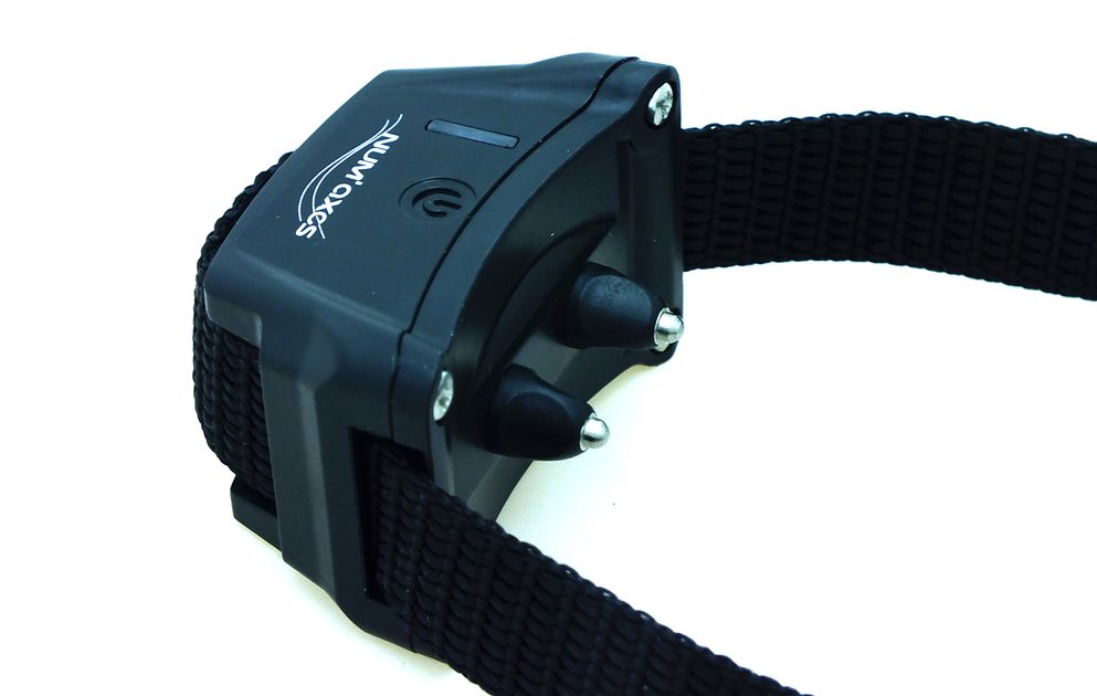 Canifugue 2015 Electronic fences