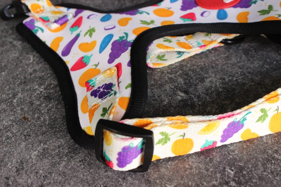 Reedog FRUIT harness Classic harnesses
