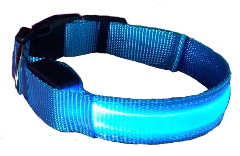 Reedog Colour világító nyakörv kutyáknak - Világító nyakörvek - Elektro- nyakörvek.hu
