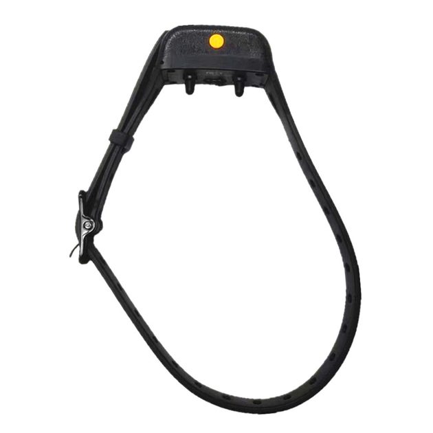 Collar and receiver Patpet T680 PatPet