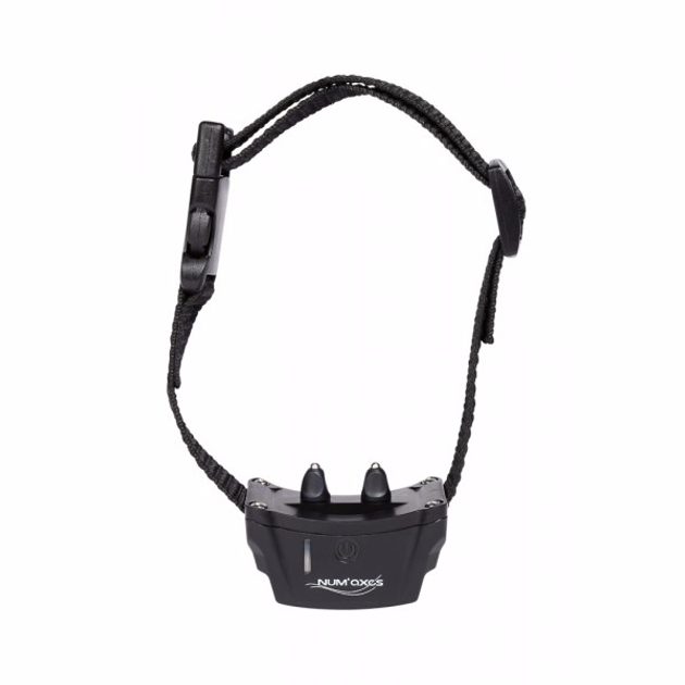 Canifugue 2015 Electronic fences