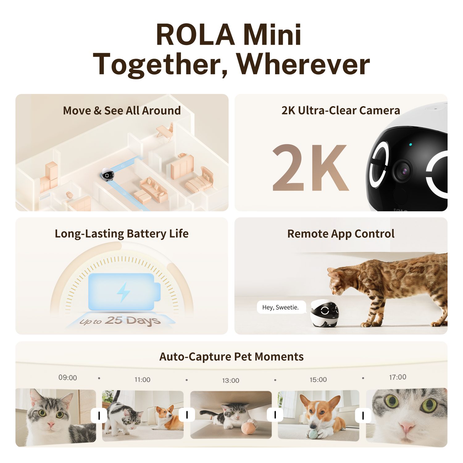 Enabot EBO ROLA Mini 2K Haustierkamera-Roboter : Bewegliche Innenkamera mit Akku und Telefon-App , One - Touch -Anruf, 2-Wege-Audio, IR-Nachtsicht, Bewegungserkennung, Videoaufzeichnung