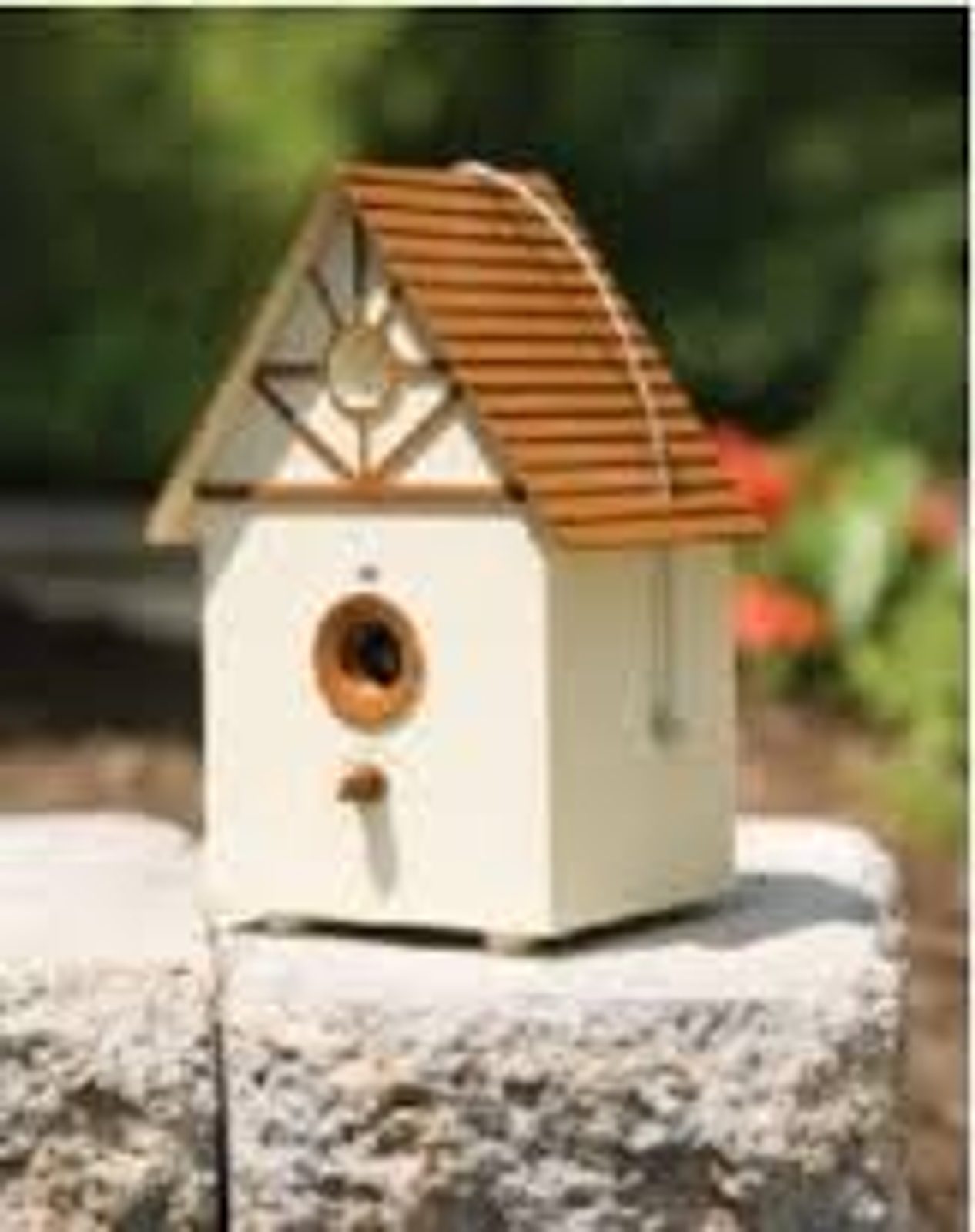Petsafe deluxe outdoor bark control hot sale