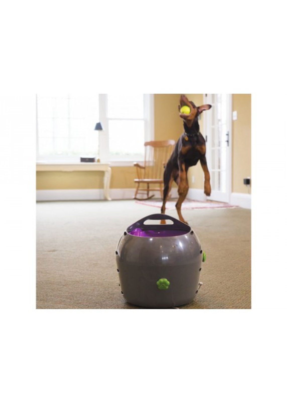 Petsafe automatic ball launcher deals