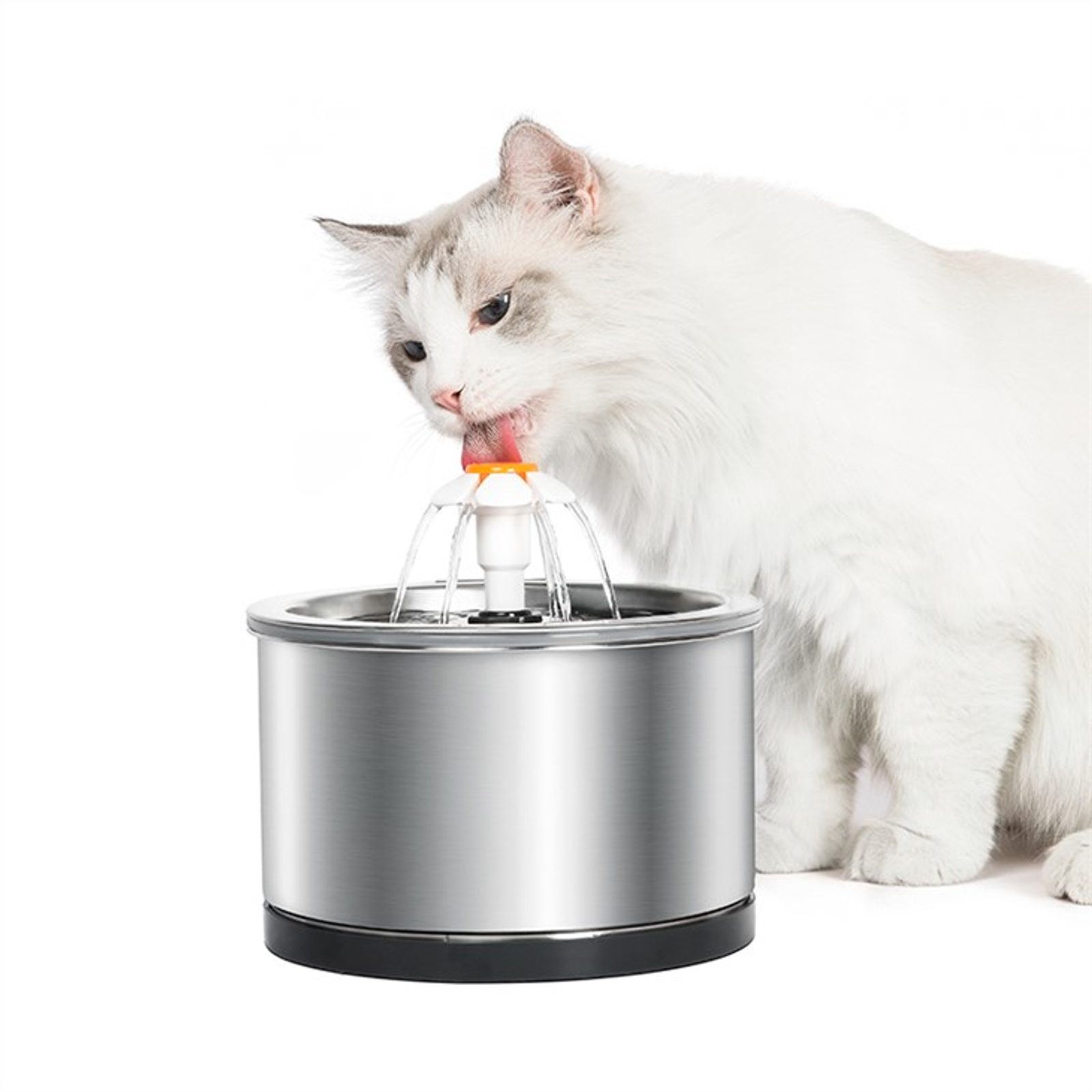Cat fountain hotsell