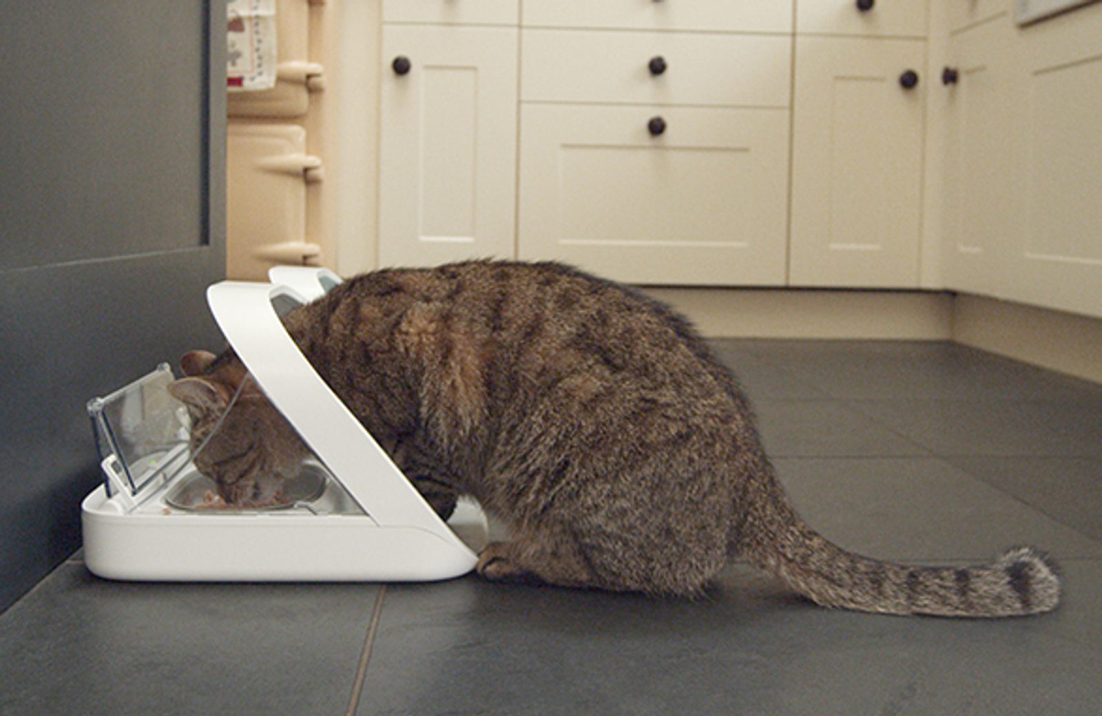 Microchip Pet Feeder Connect uzaviratelna miska na ip Smart feeder Electric Collars