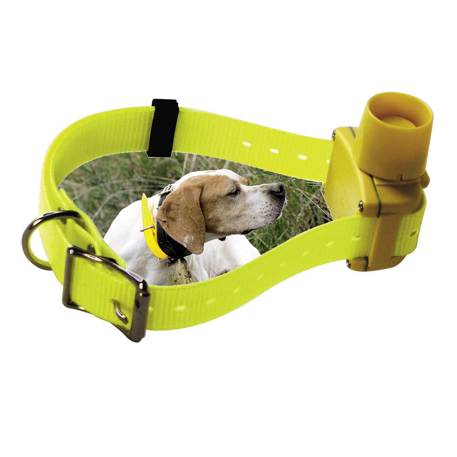 Sound locator Canibeeb PRO Dog beeper