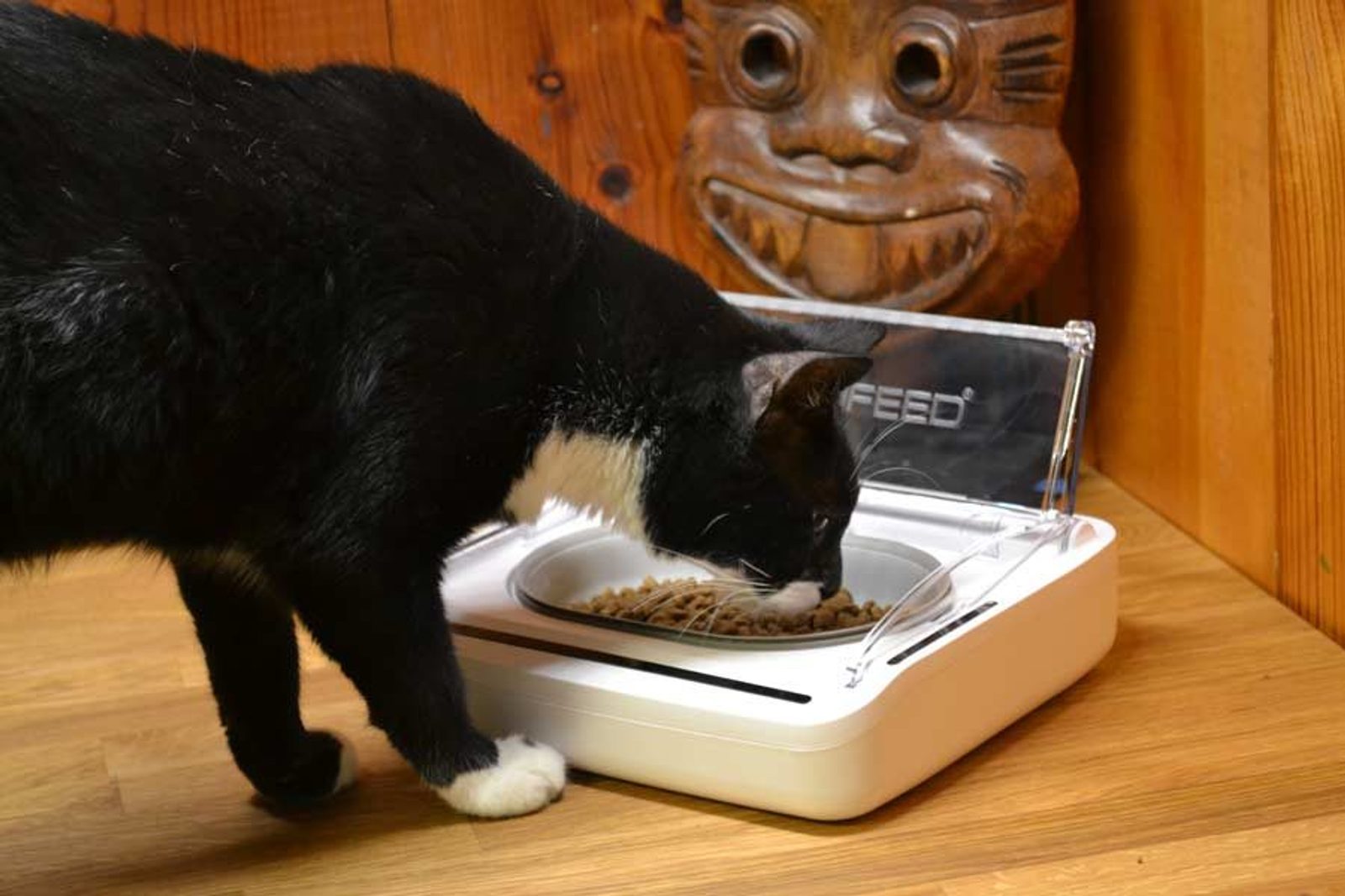 SureFeed Pet Bowl Sealed Pet Bowl - Pet Supplies - Electric