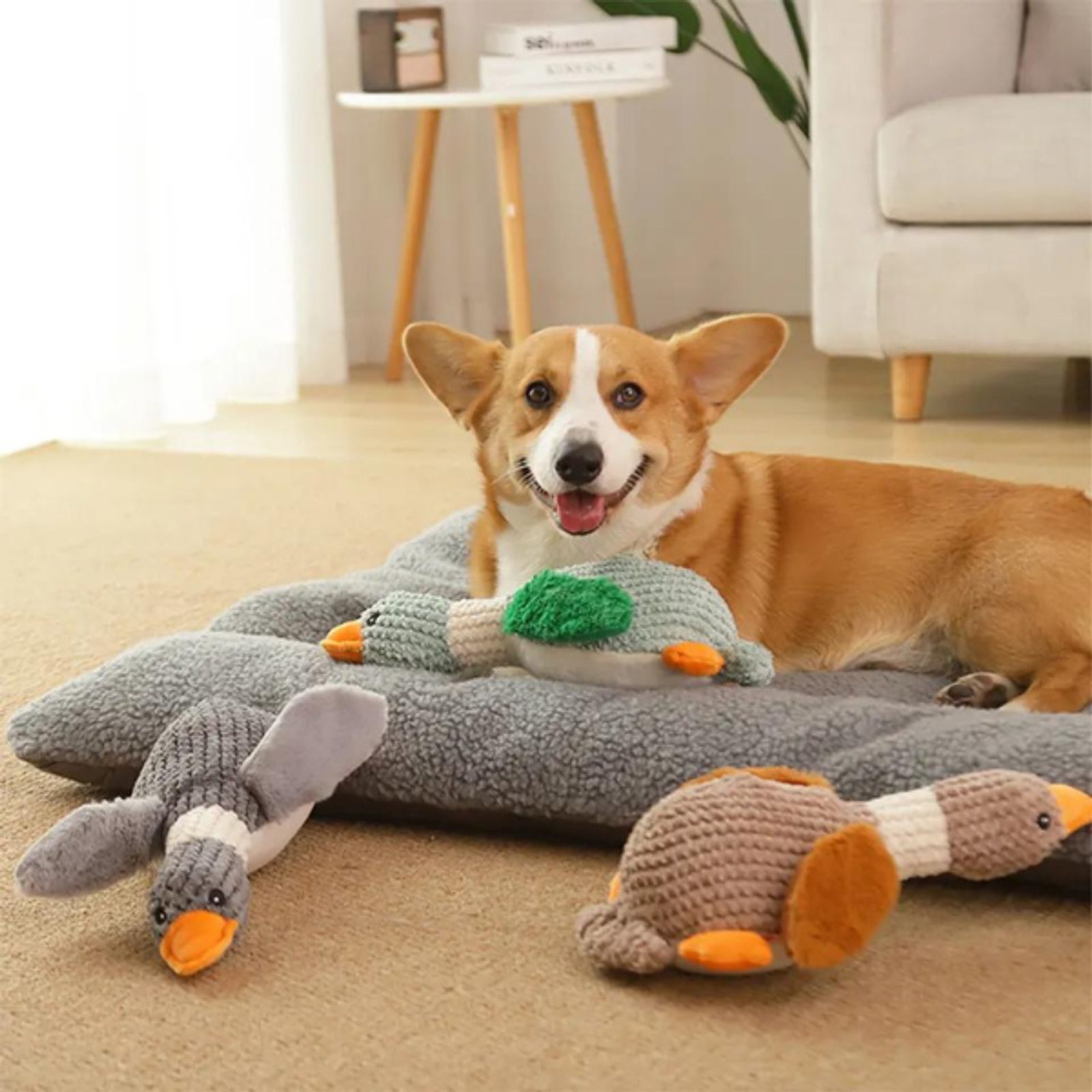 12er Pack Quietsch-Plüschspielzeug Für Hunde – Weich, Kaufreudig, Ideal Gegen Langeweile & Zum Stressabbau