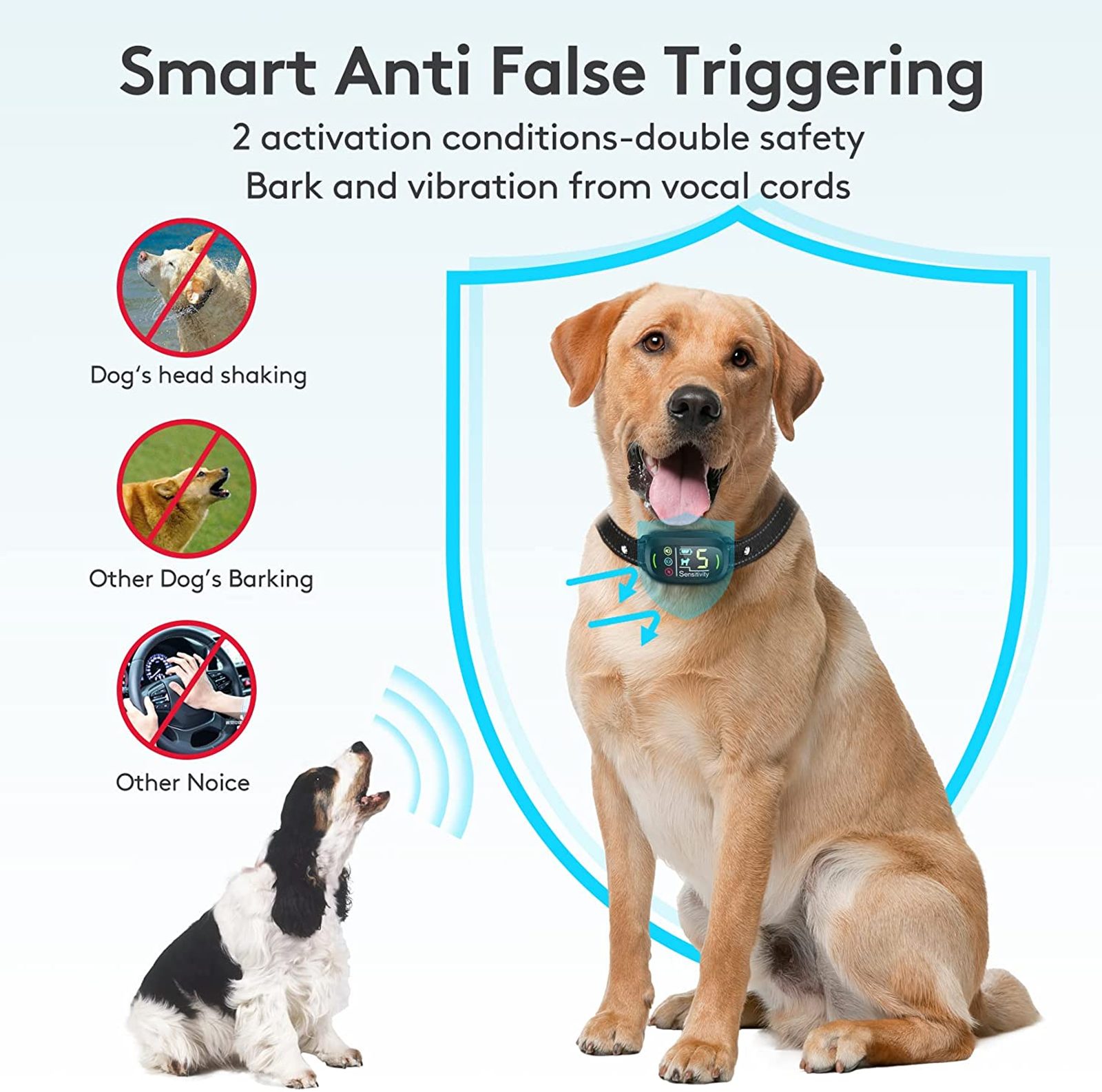 how to put a bark collar on a dog