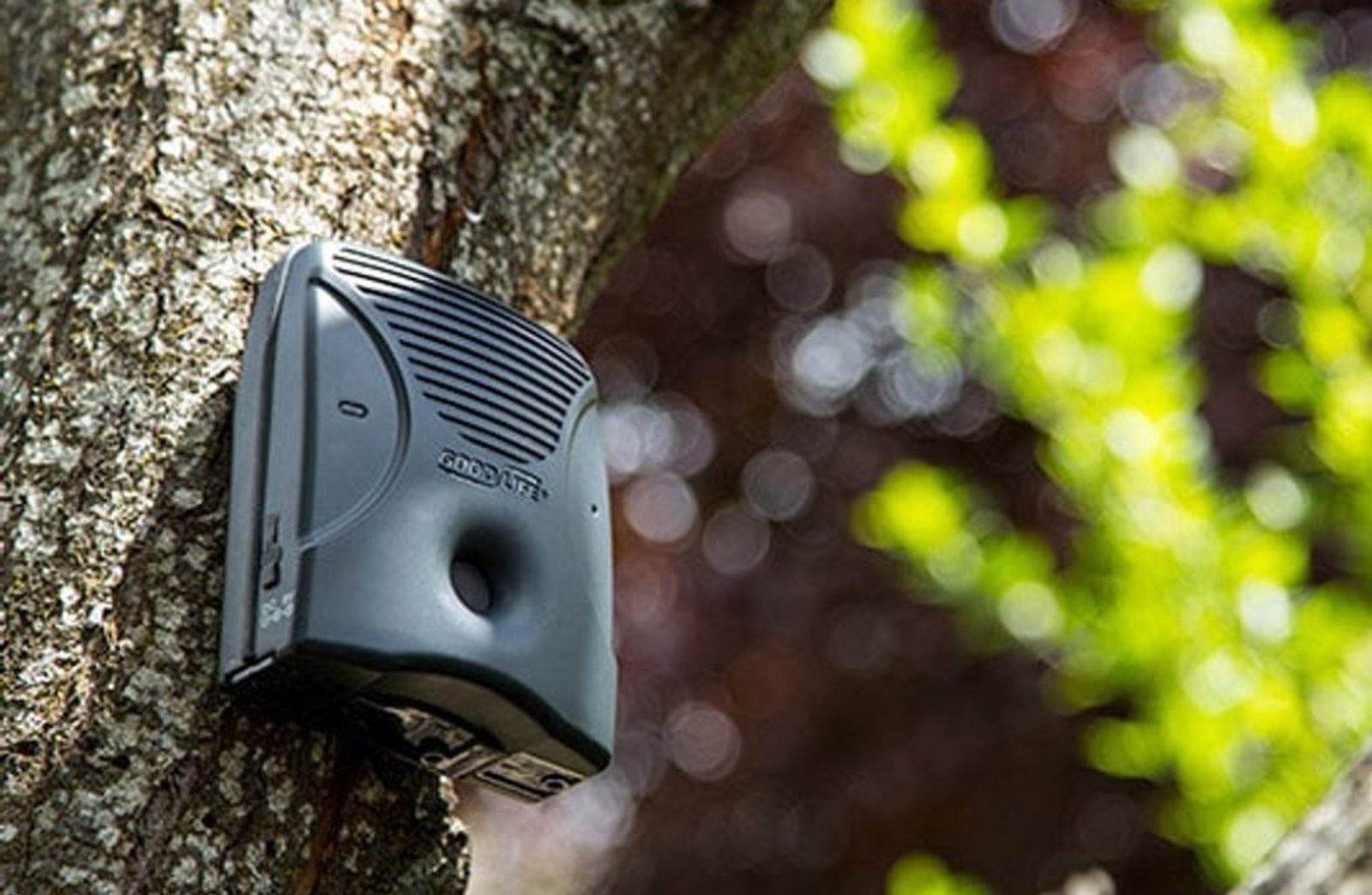 Powerful ultrasonic dog bark deterrent online
