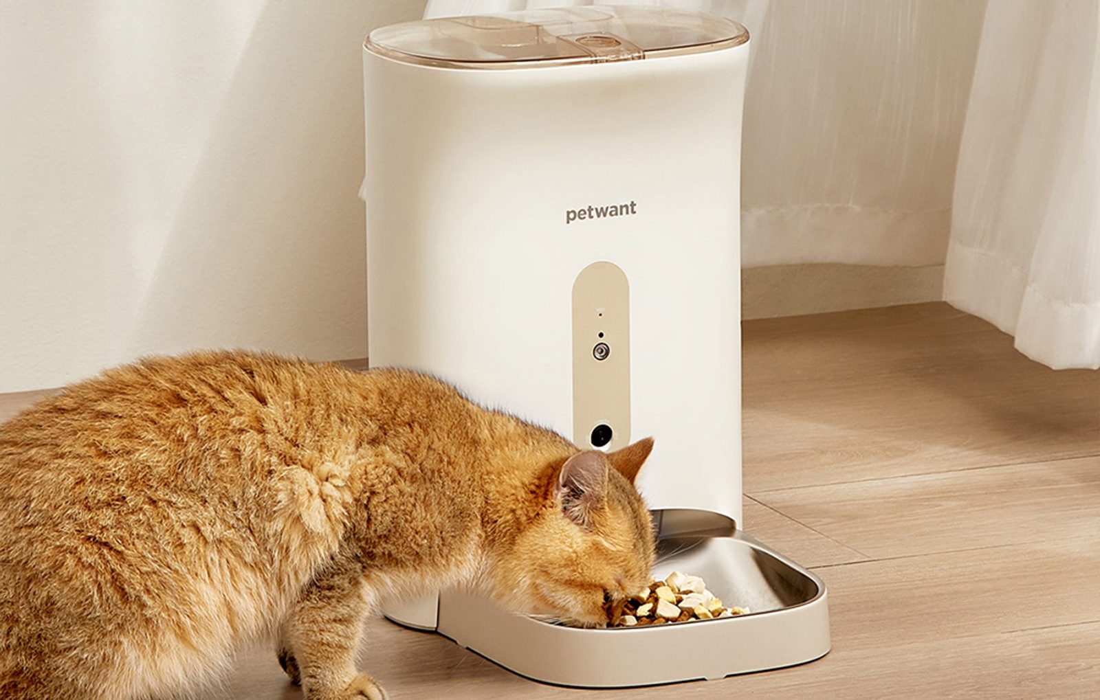 Petwant F6 - Dispensador automático 6 porciones - Distribuidores de