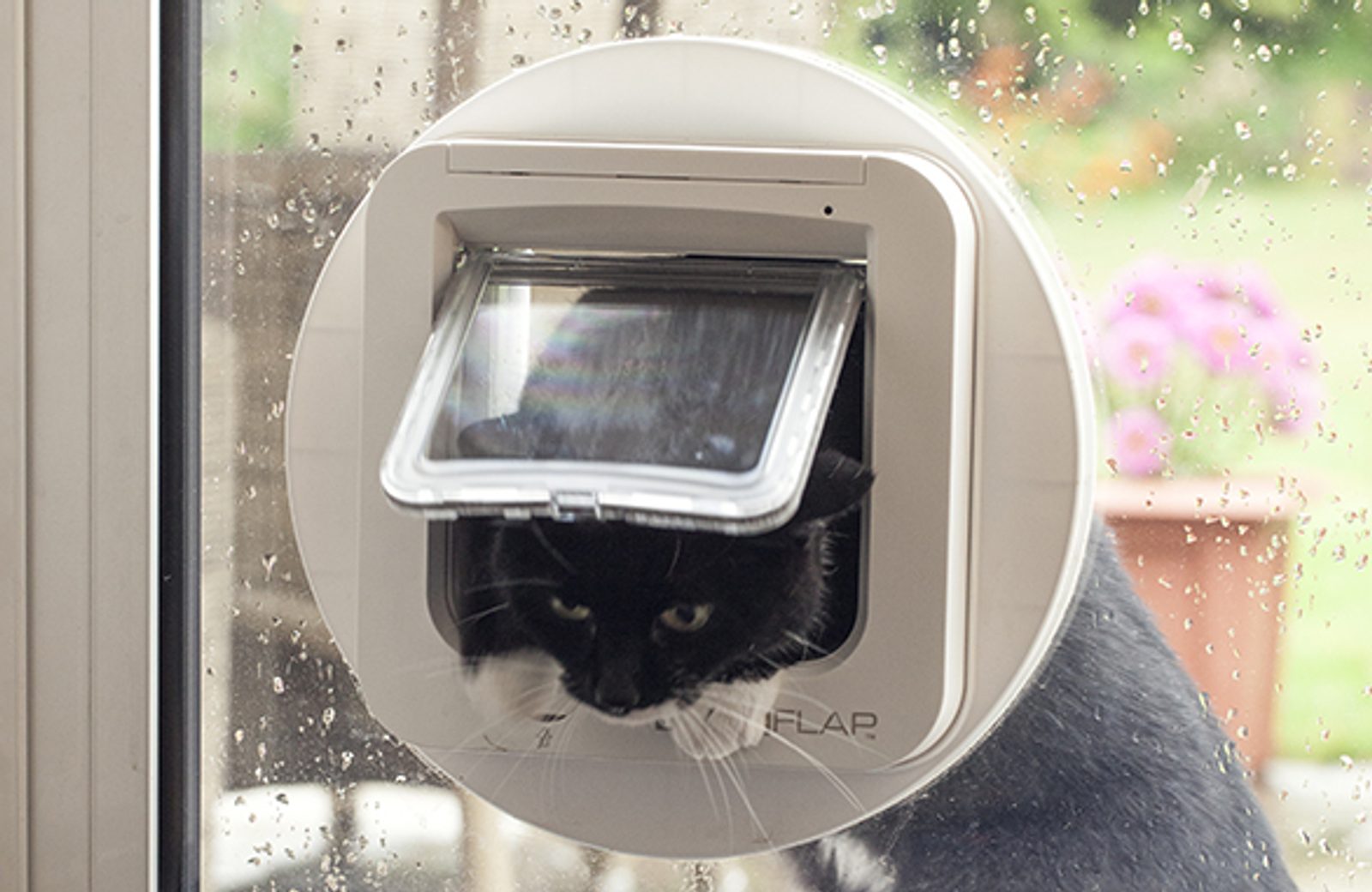 SureFlap door with microchip for cats Doors Electric Collars