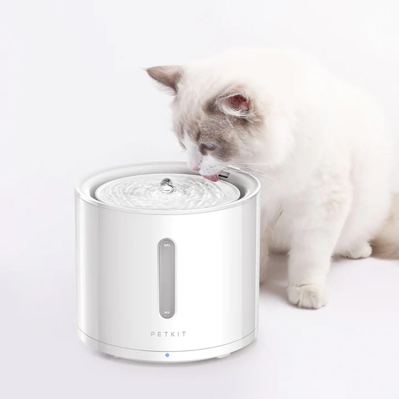 Pet kit eversweet water fountain hotsell