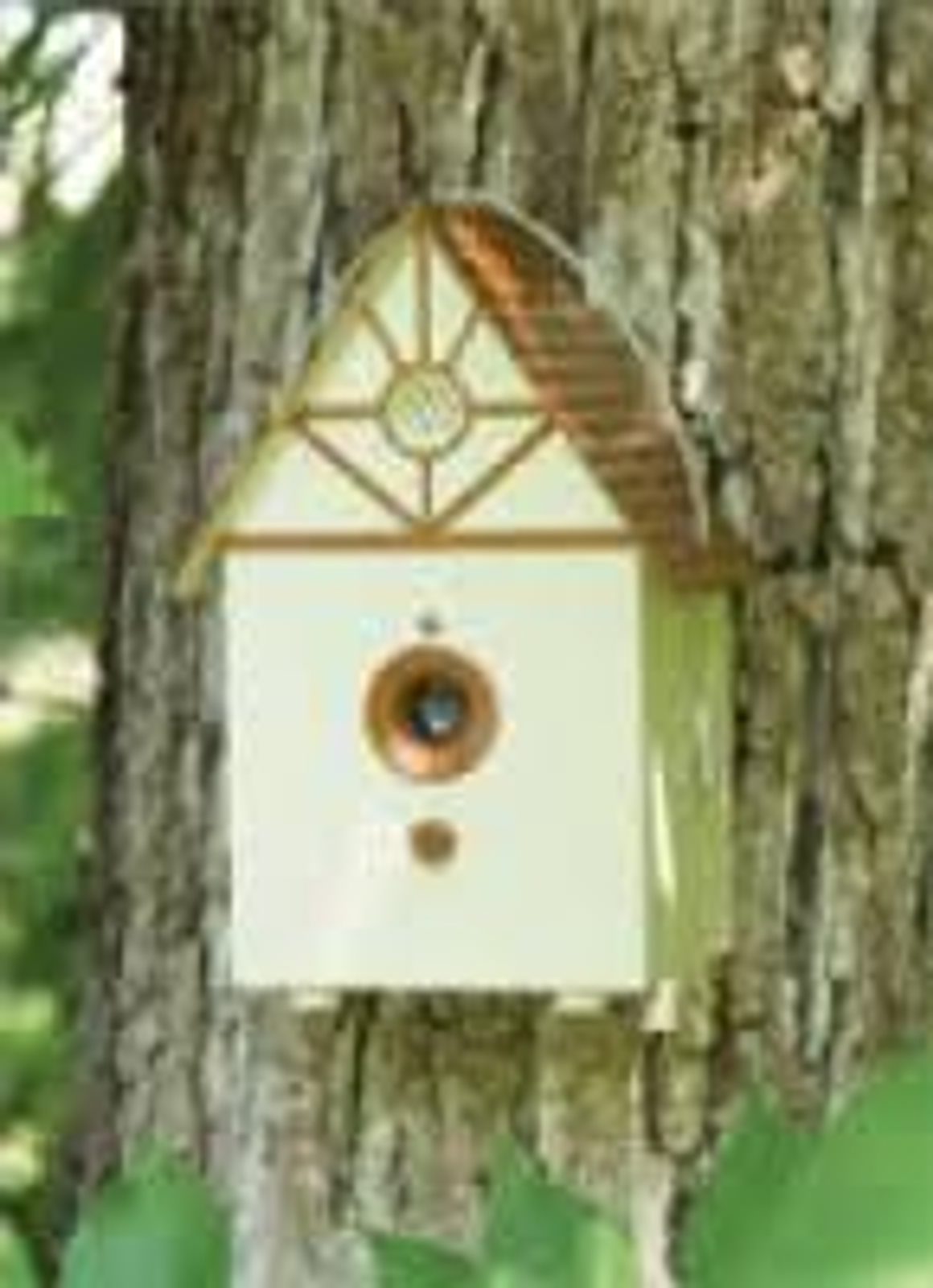 Petsafe bark box online