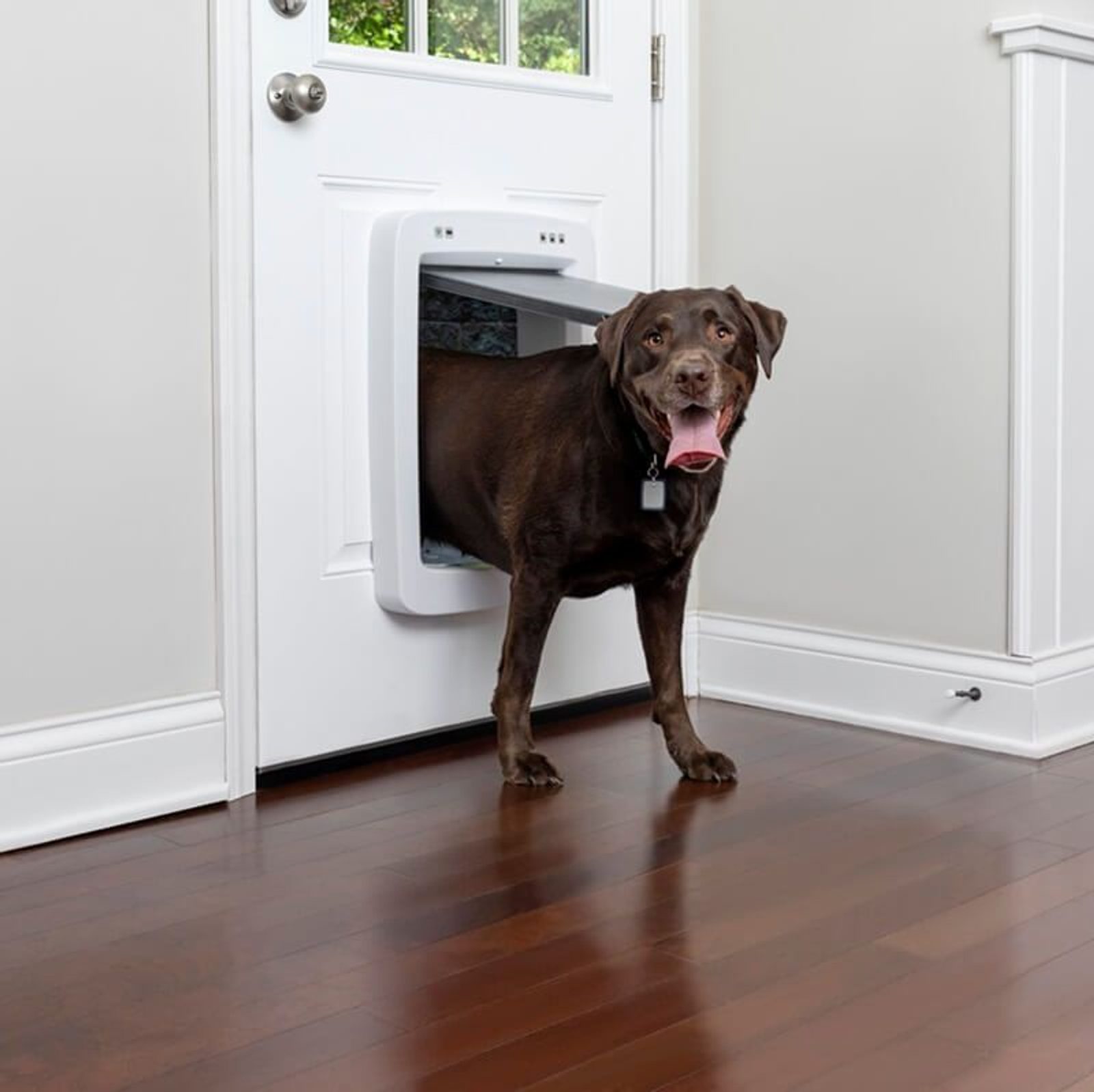 Petsafe automatic dog door hotsell